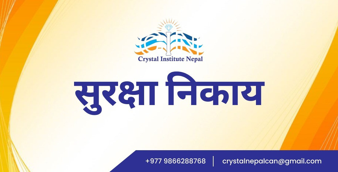 सुरक्षा निकाय